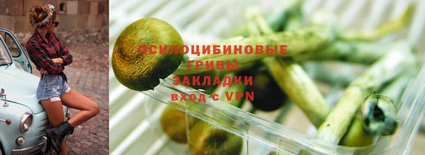 прущий лед Осинники