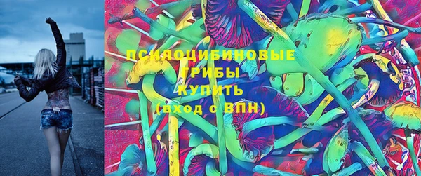прущая мука Осташков